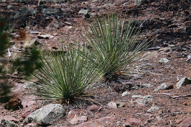 000 Whm Cyn, San Luis, CO 81152 - photo 36