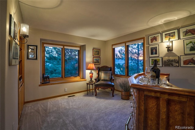 sitting room with carpet flooring