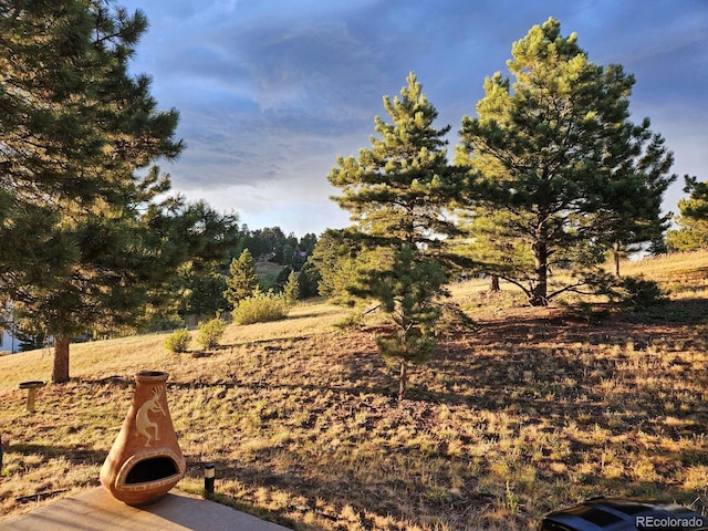 386 Monte Vista Rd, Golden, CO 80401 - view of yard