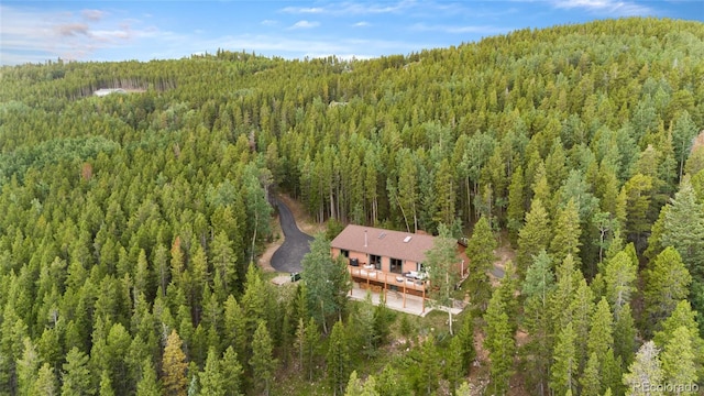 10777 Timothys Dr, Conifer, CO 80433 - photo 45