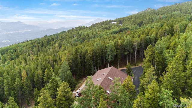 10777 Timothys Dr, Conifer, CO 80433 - photo 46