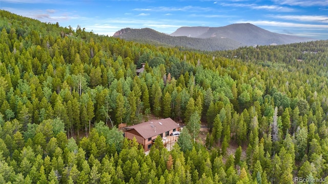 10777 Timothys Dr, Conifer, CO 80433 - photo 47