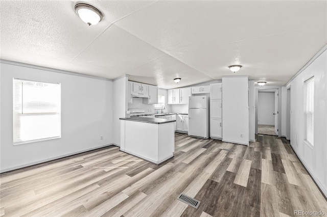 120 Pinon Dr, Hotchkiss, CO 81419 - kitchen with white appliances, a peninsula, light wood-style floors, under cabinet range hood, and dark countertops