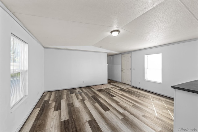 120 Pinon Dr, Hotchkiss, CO 81419 - empty room with healthy amount of natural light, light wood-type flooring, vaulted ceiling, and a textured ceiling