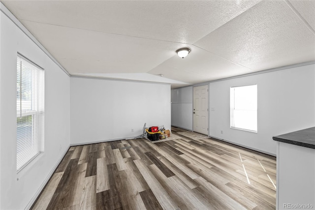 120 Pinon Dr, Hotchkiss, CO 81419 - unfurnished room featuring light wood-style flooring, lofted ceiling, and a textured ceiling