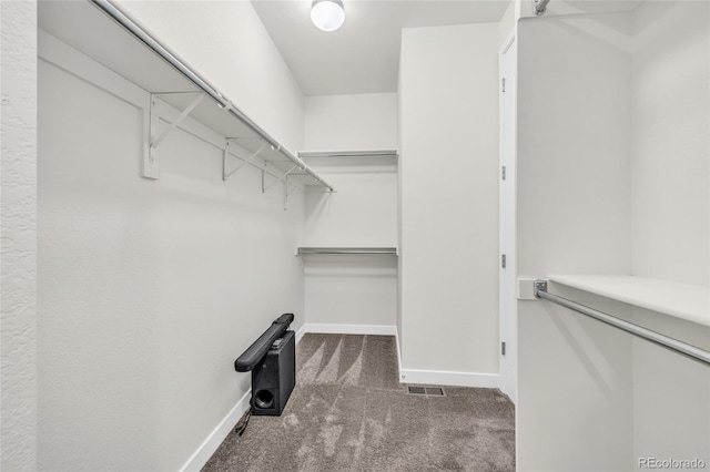 8772 S Sicily Ct, Aurora, CO 80016 - spacious closet with carpet