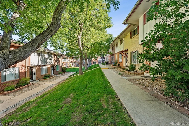 view of community with a lawn