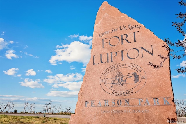 2174 Alyssa St, Fort Lupton, CO 80621 - photo 31