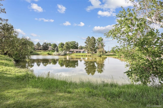 4231 W Ponds Cir, Littleton, CO 80123 - water view