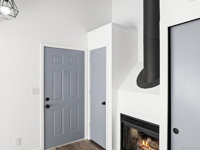 foyer featuring dark wood-type flooring