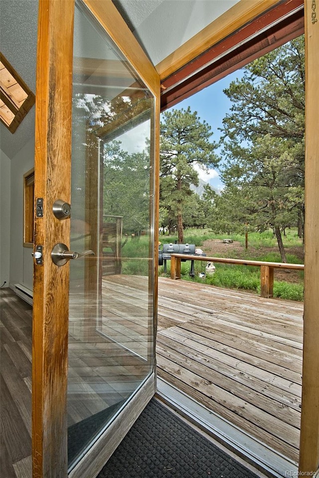 doorway featuring lofted ceiling and a baseboard radiator