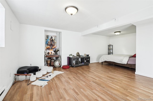 bedroom featuring light hardwood / wood-style floors