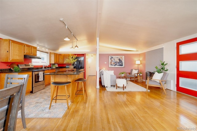 2370 S Meade St, Denver, CO 80219 - kitchen with stainless steel electric stove, under cabinet range hood, track lighting, dark countertops, and light wood-style floors