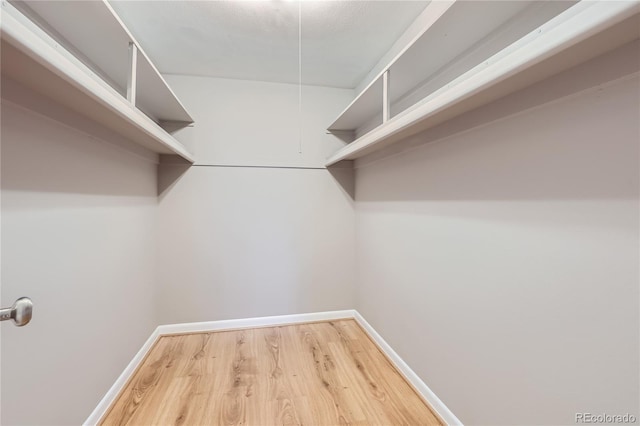 walk in closet featuring hardwood / wood-style floors