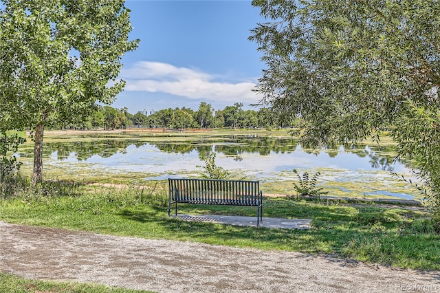 property view of water