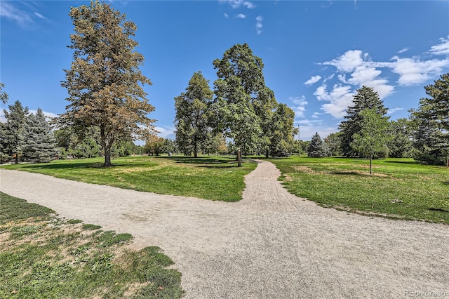 view of property's community featuring gravel driveway and a yard