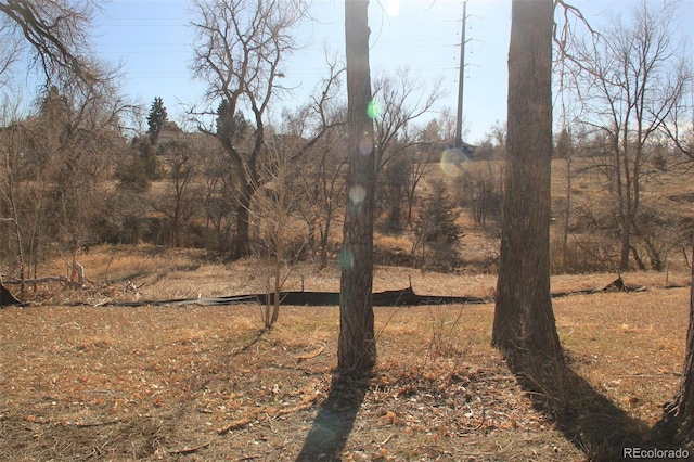 10160 W 12th Ave, Lakewood, CO 80215