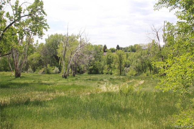 10160 W 12th Ave, Lakewood, CO 80215