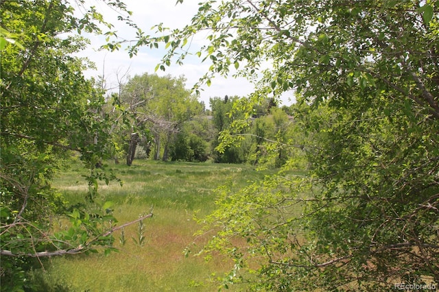 10160 W 12th Ave, Lakewood, CO 80215