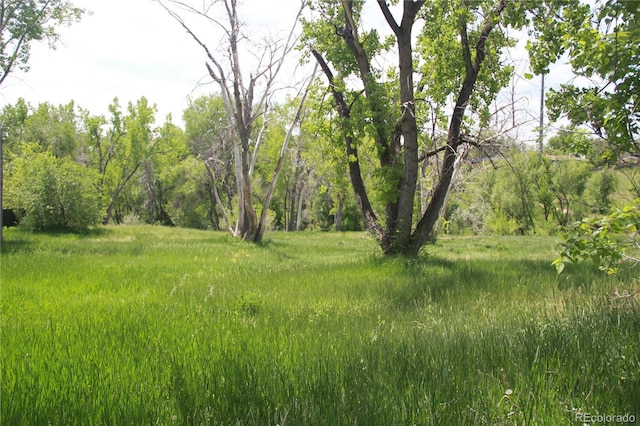 10160 W 12th Ave, Lakewood, CO 80215