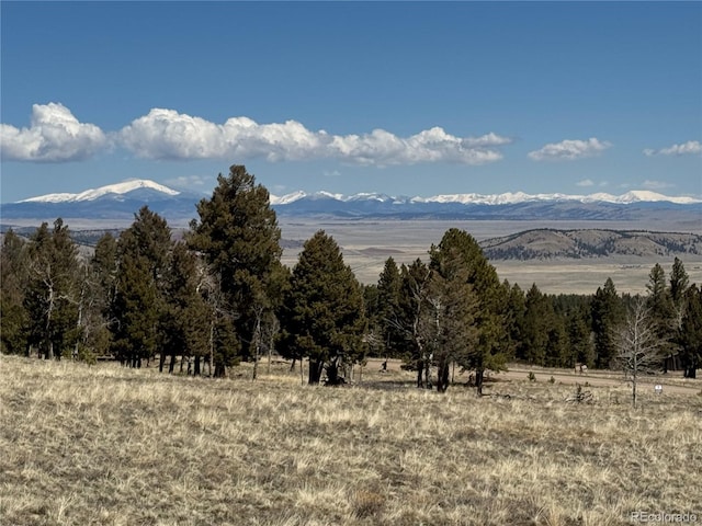 1421 Pitchfork Rd, Hartsel, CO 80449