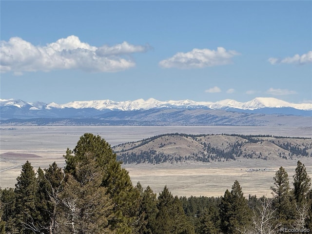 1421 Pitchfork Rd, Hartsel, CO 80449