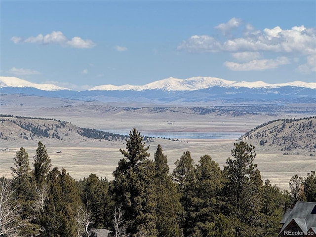 1421 Pitchfork Rd, Hartsel, CO 80449