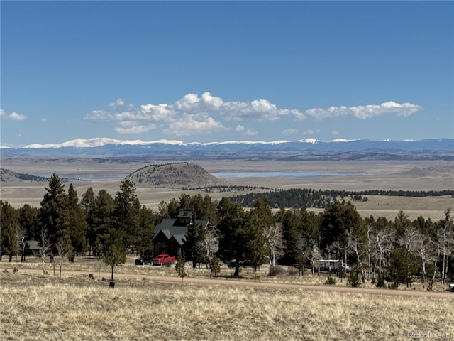 1421 Pitchfork Rd, Hartsel, CO 80449