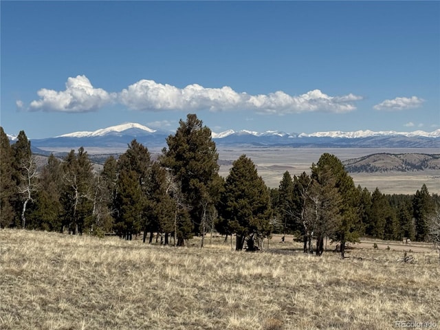 1421 Pitchfork Rd, Hartsel, CO 80449