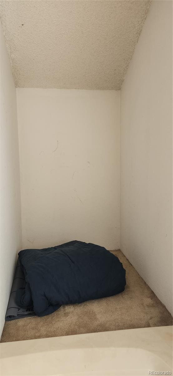 unfurnished bedroom featuring carpet floors, a textured ceiling, and lofted ceiling