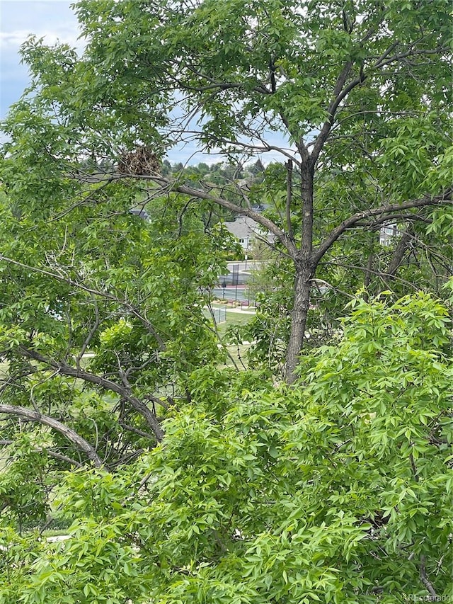4812 S Bahama Way, Aurora, CO 80015 - view of local wilderness