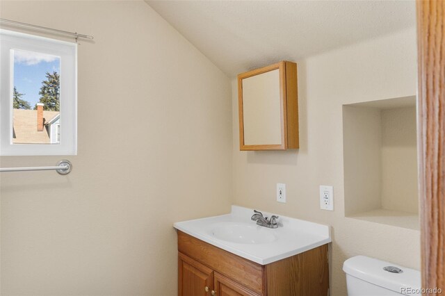 1104 Miner St, Idaho Springs, CO 80452 - bathroom featuring vanity, vaulted ceiling, and toilet