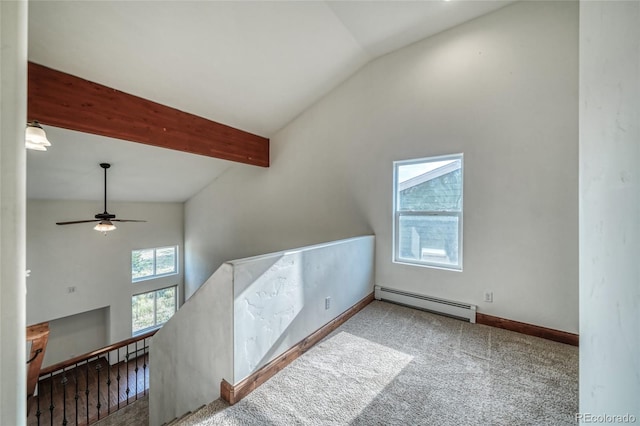 722 Clarendon Ave, Leadville, CO 80461 - photo 16