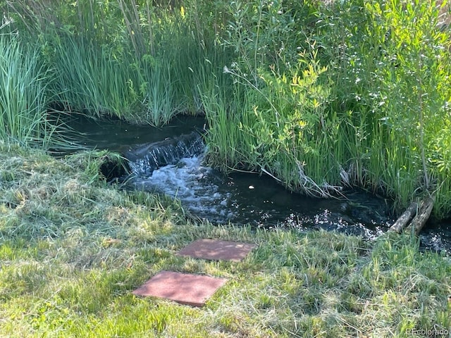 11398 County Road 302, Buena Vista, CO 81211 - view of nature
