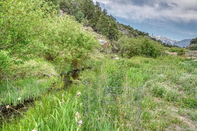 11398 County Road 302, Buena Vista, CO 81211 - view of undeveloped land with a mountainous background
