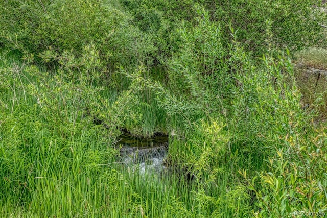 11398 County Road 302, Buena Vista, CO 81211 - view of undeveloped land