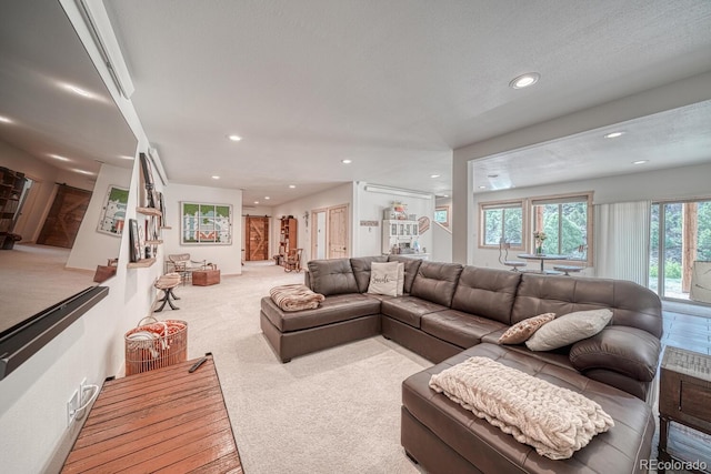 11398 County Road 302, Buena Vista, CO 81211 - living room with recessed lighting and carpet floors