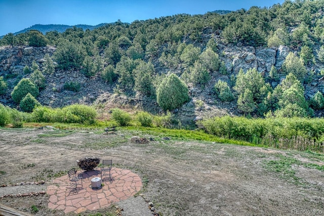 11398 County Road 302, Buena Vista, CO 81211 - view of mountain backdrop with a heavily wooded area