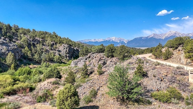 11398 County Road 302, Buena Vista, CO 81211 - view of mountain backdrop