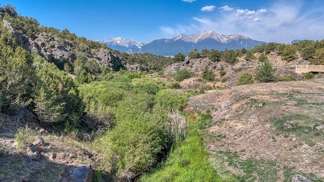 11398 County Road 302, Buena Vista, CO 81211 - view of mountain backdrop