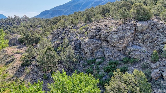 11398 County Road 302, Buena Vista, CO 81211 - view of mountain backdrop with a heavily wooded area