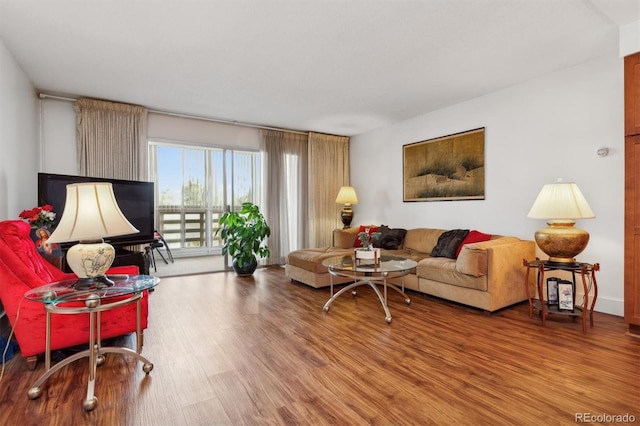 living area featuring wood finished floors