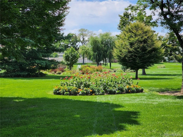 view of property's community featuring a lawn