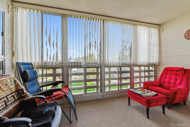 sunroom / solarium featuring carpet floors, a textured ceiling, and a healthy amount of sunlight