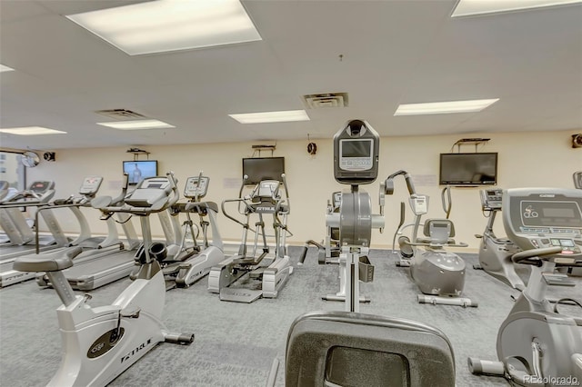 workout area featuring carpet