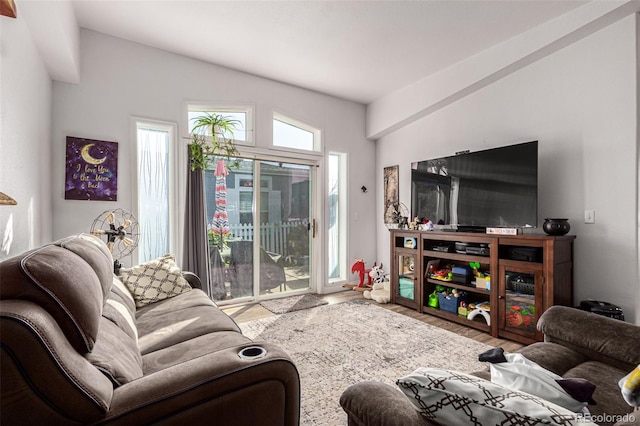 living room with hardwood / wood-style floors and vaulted ceiling