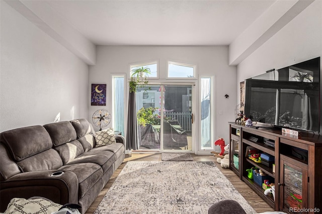 living room with hardwood / wood-style floors and vaulted ceiling