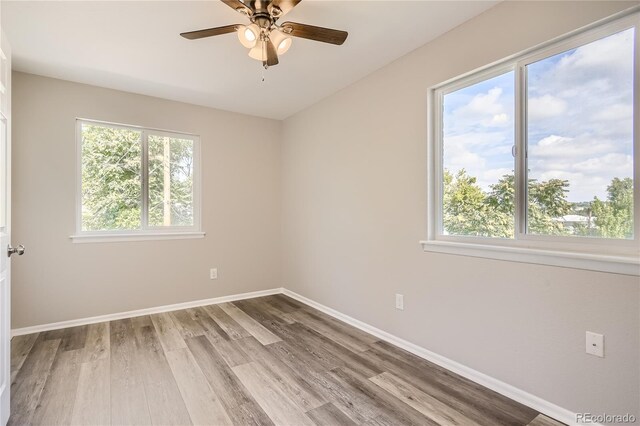 3401 W Milan Ave, Denver, CO 80236 - empty room with healthy amount of natural light, light wood-type flooring, baseboards, and a ceiling fan