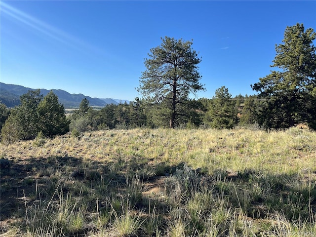 18322 S Lake Rd, Buena Vista, CO 81211