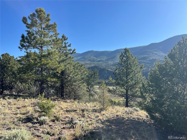18322 S Lake Rd, Buena Vista, CO 81211